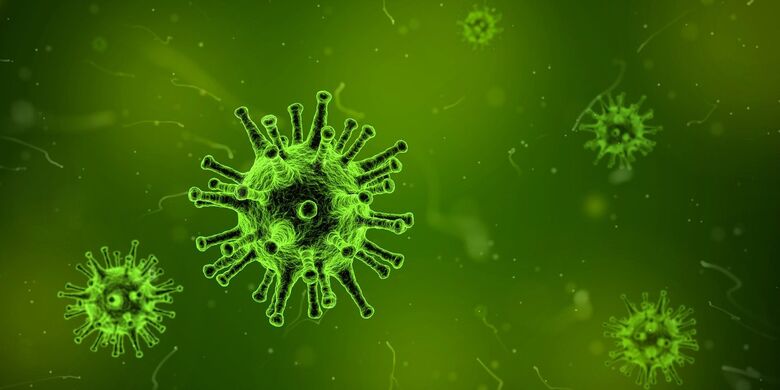 Nova variante do coronavírus é detectada na França - 