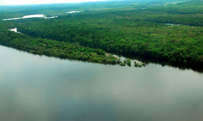 Plano do governo apresenta metas para reduzir desmatamento na Amazônia - Crédito: Mario Oliveira/ MTUR
