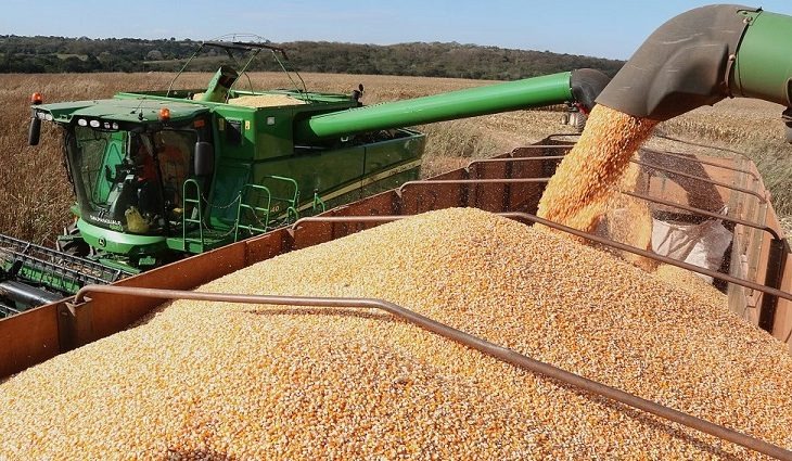 Colheita da soja entra na reta final e plantio do milho passa dos 90% em Mato Grosso do Sul - 