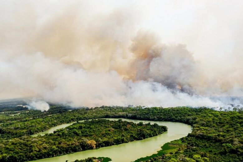 O ano de 2020 foi o que teve mais registros de fogo no Pantanal - Crédito: Divulgação