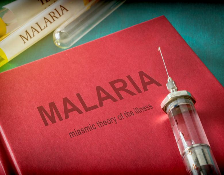 Saúde garante estoque de medicamento para tratamento da malária no SUS - 