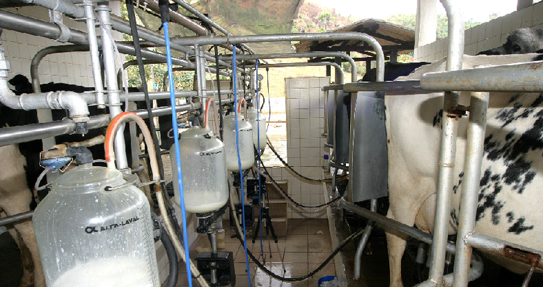 Embrapa e Lactalis estudam parceria no desenvolvimento da pecuária leiteira nacional - Crédito: Humberto Nicoline