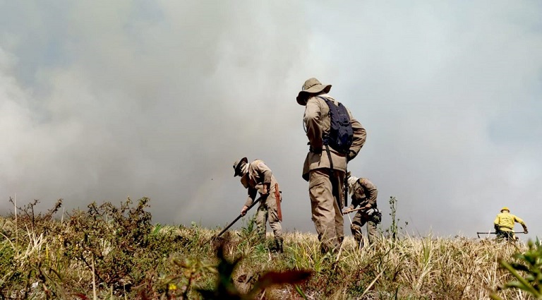 Governo institui Plano Estadual de Manejo Integrado do Fogo para prevenir e combater incêndios florestais - Crédito: Divulgação