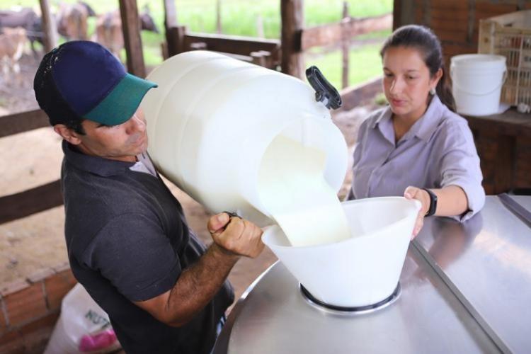 Atributos na produção de leite é tema de curso gratuito do Senar/MS - Crédito: Famasul
