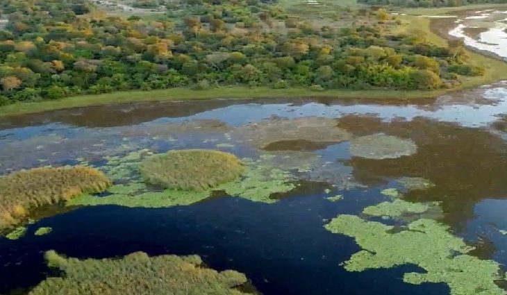 Semagro, Imasul e Instituto Homem Pantaneiro garantem ações para proteger o Pantanal - Crédito: Arquivo