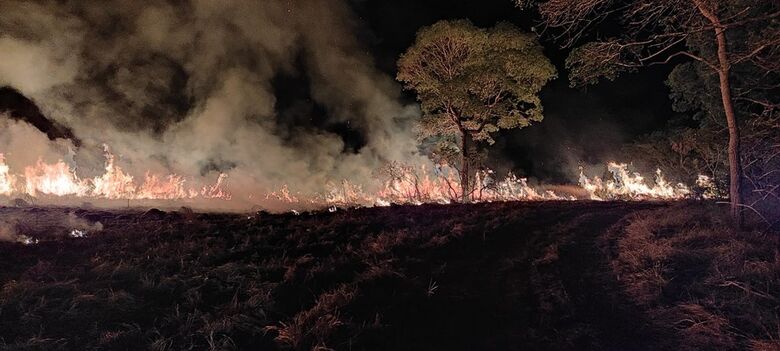 Pantanal de MS segue com focos de incêndio e fogo atinge fazenda onde há projeto com onças-pintadas - Crédito: Leonardo Gomes/SOS Pantanal