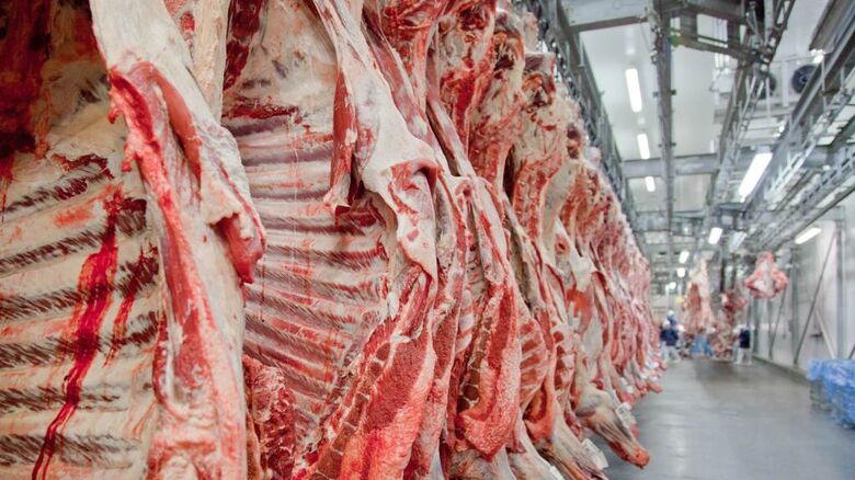 60% dos embarques de carne nos portos brasileiros têm a China como destino - Crédito: Divulgação / Abiec