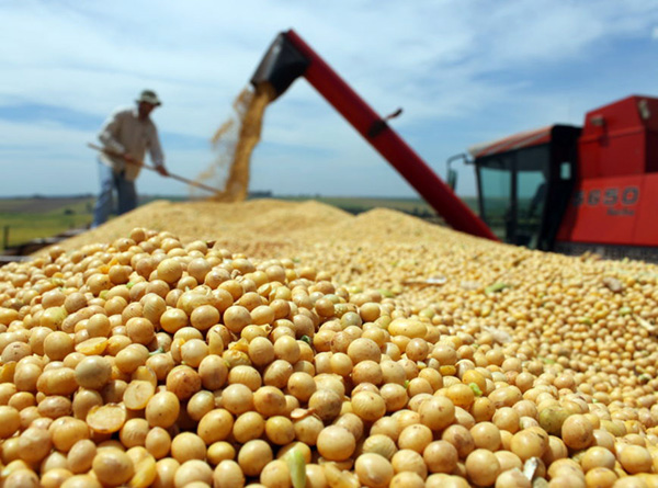 MS já exportou neste ano 5 milhões de toneladas de soja. - Crédito: Divulgação