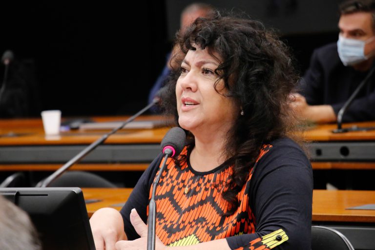 Christiane de Souza Yared recomendou a aprovação de substitutivo - Crédito: Marina Ramos/Câmara dos Deputados