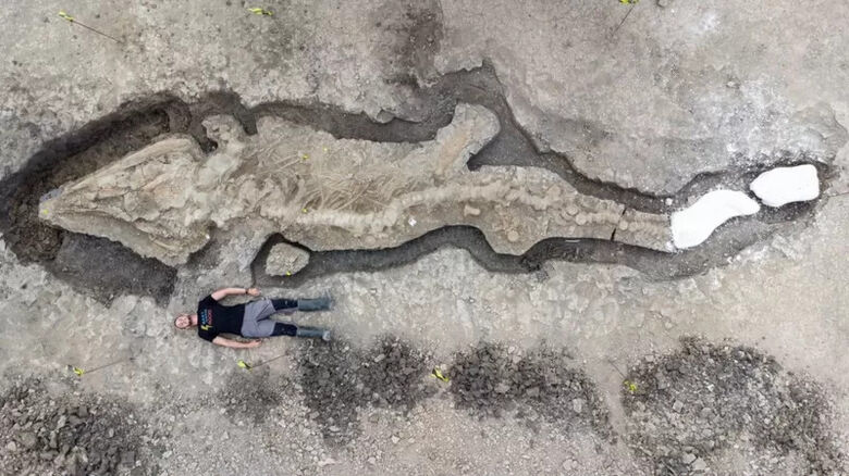 O fóssil de 'dragão do mar gigante' encontrado no Reino Unido - Crédito: MATTHEW POWER PHOTOGRAPHY