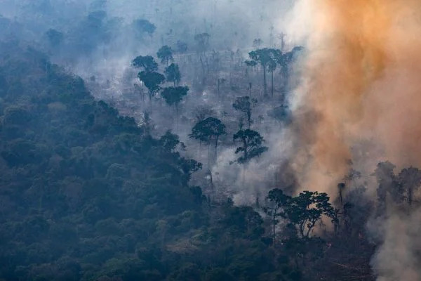 Brasil lidera lista de destruição das florestas primárias tropicais
 - Crédito: Victor Moriyama/Getty Images