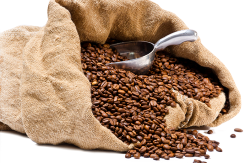 Incaper apresenta características agronômicas de 600 genótipos de Coffea canephora
 - 