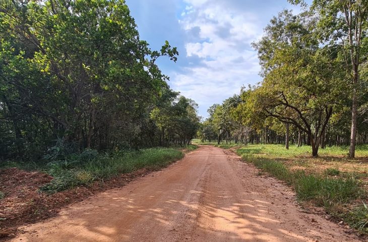 Estrada que leva a um dos principais passeios de Bonito, o da Mimosa - Crédito: Reprodução/Estância Mimosa