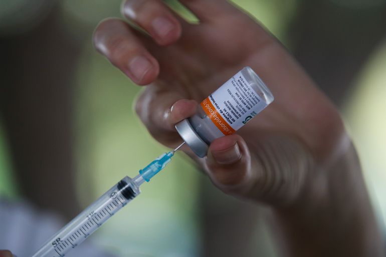 Mais de 443 milhões de doses de vacinas já foram aplicadas - Crédito: Tânia Rêgo/Agência Brasil