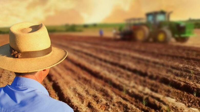  O Dia do Agricultor é celebrado anualmente, desde 1960, em 28 de julho, por meio do Decreto de Lei n&ordm; 48.630 - Crédito: Reprodução