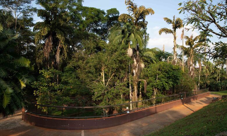  Parque da Ciência, do Instituto Butantan, em São Paulo - Crédito: Governo de São Paulo/Divulgação
