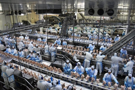 O conjunto das atividades industriais em Mato Grosso do Sul encerrou junho de 2022 com o total de 140.514 trabalhadores empregados - Crédito: Divulgação