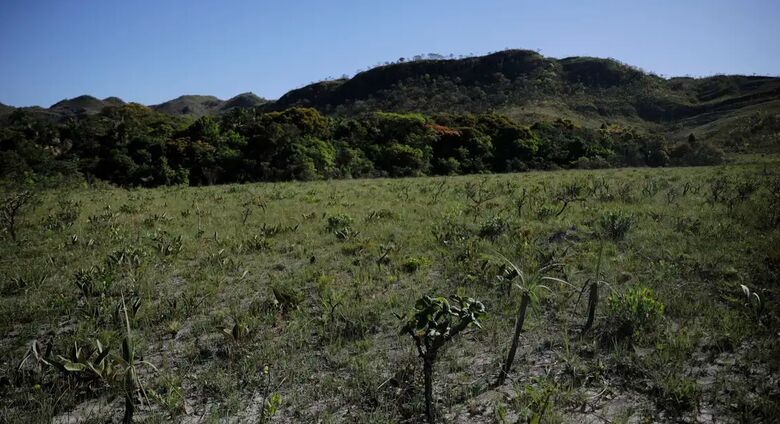 Desmatamento do Cerrado cresce 3% em um ano; área atinge 11 mil km&#xB2; - Crédito: Joédson Alves/Agência Brasil