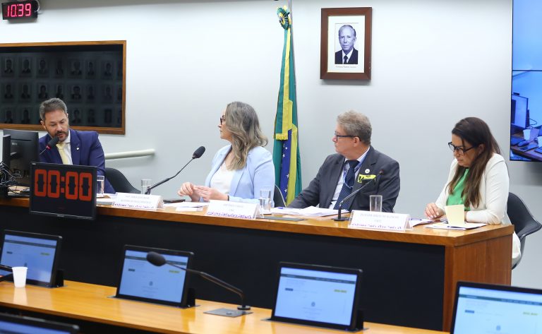 A Comissão de Desenvolvimento Econômico debateu o assunto nesta quarta-feira   - Crédito: Vinicius Loures/Câmara dos Deputados  