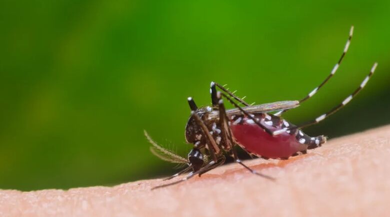 Mudanças climáticas podem agravar quadro de doenças como dengue e zika –  Mídia News Campo Grande