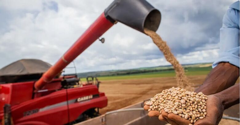 Conab: produção de grãos deve atingir 312 milhões de toneladas - Crédito: CNA/Wenderson Araújo/Trilux