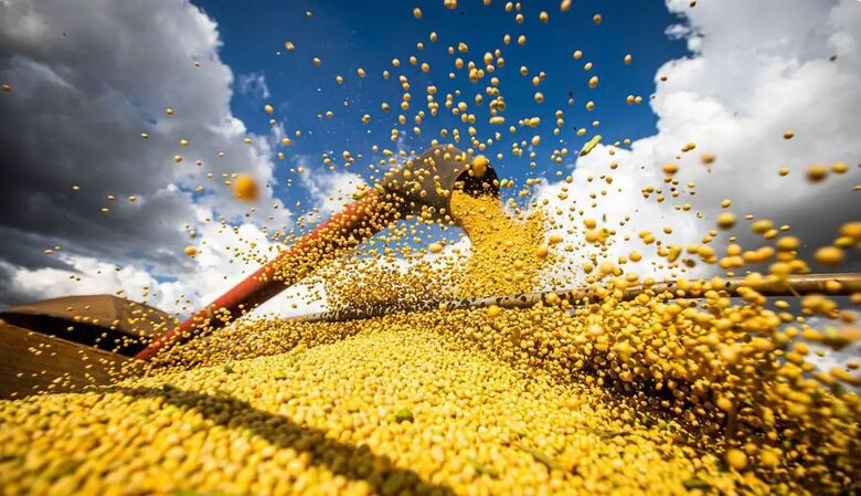 Conab: colheita de grãos da safra 23/24 será menor do que o estimado - Crédito: Wenderson Araújo/Trilux