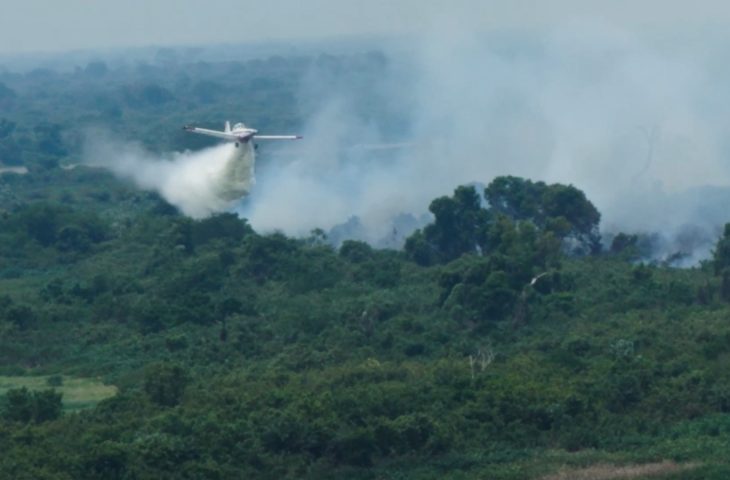 Com incêndio extinto no Pantanal de MS, bombeiros fazem monitoramento na Serra do Amolar - Crédito: Divulgação