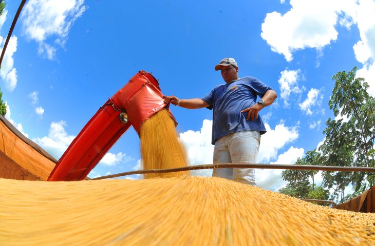 Mesmo em entressafra, soja continua em alta na balança comercial de Mato Grosso do Sul - Crédito: Álvaro Rezende