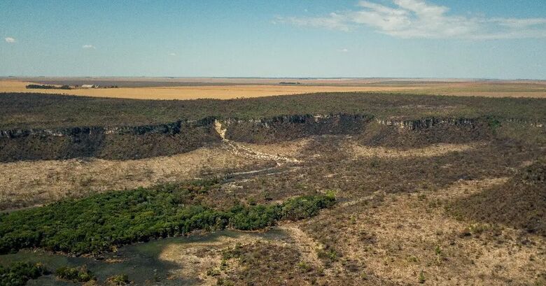 Governo monta força-tarefa para conter desmatamento no Cerrado - Crédito: Thomas Bauer/Instituto Sociedade População e Natureza