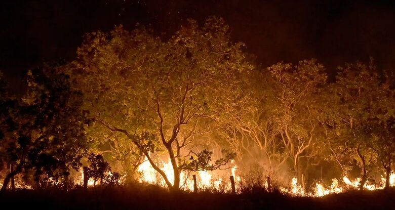 Roraima tem 45% do total de focos de queimadas do país em fevereiro - Crédito: Jader Souza/AL Roraima