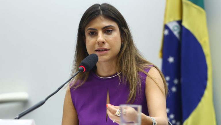 Camila Jara é a autora da proposta  - Crédito: Vinicius Loures/Câmara dos Deputados  