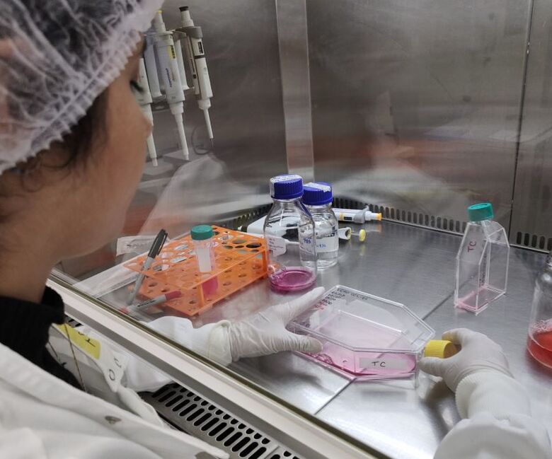 Testes in vitro foram feitos por pesquisadores do Instituto de Biociências, Letras e Ciências Exatas da Unesp, em São José do Rio Preto - Crédito:  Marilia de Freitas Calmon/Unesp