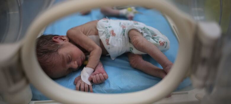 No dia 5 de Março de 2024, a UNICEF e parceiros entregaram 23 incubadoras a hospitais em Rafah, sul de Gaza - Crédito: Unicef/Eyad El Baba