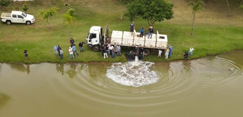 Lagos do Parque Rego D'Água também receberam peixes e terão pesca liberada  - Crédito: Marcos Macedo/Prefeitura de Dourados