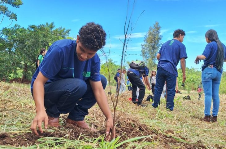Projeto com estudantes de escola indígena realiza restauração de vegetação em Dourados - Crédito: Arquivo escolar