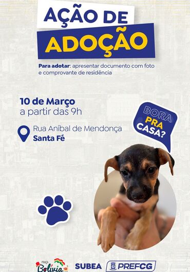 Prefeitura realiza feira de adoção de pets neste domingo - Crédito: Divulgação