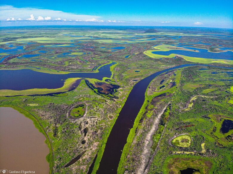 Descoberto agrotóxico perigoso em Bacia do Pantanal  - 