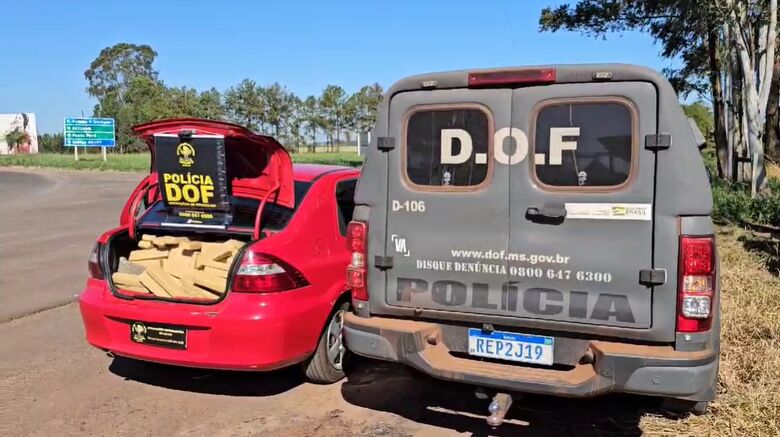 Homem que seguia para Goiás com mais de meia tonelada de maconha é preso pelo DOF - Crédito: Divulgação/DOF