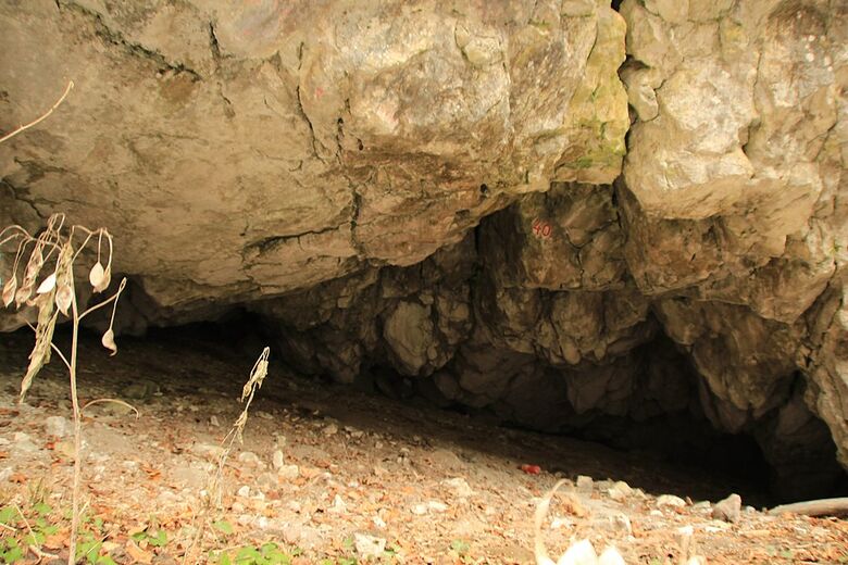 Caverna na região da garganta do rio Vârghi, nos Cárpatos Orientais, Romênia. A missão romeno-brasileira vai prospectar e escavar os sítios desse tipo, onde possa ter ocorrido a interação entre o Homo sapiens e o Homo neanderthalensis - Crédito: Marius Pascu/Wikimedia Commons