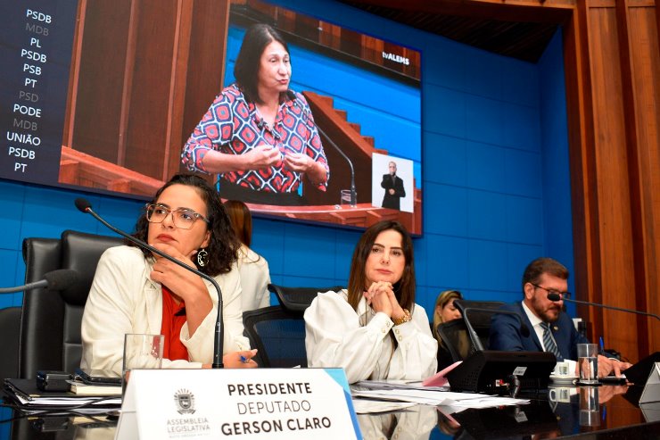 A partir da fala da vereadora Luiza Ribeiro, reflexão sobre o tema foi trazida ao Plenário nesta quarta-feira - Crédito: Luciana Nassar/ALEMS