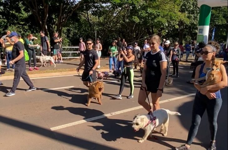 Ações de conscientização contra maus-tratos a animais chegam a Bodoquena e Corumbá - Crédito: arquivo/Setesc