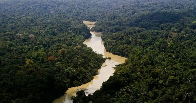 Brasil não trata meio ambiente com seriedade, diz promotor
 - Crédito: Leonardo Milano/ICMBio