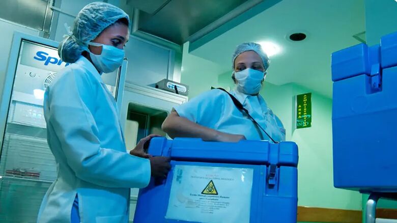 Cartórios lançam autorização eletrônica para doação de órgãos - Crédito: Divulgação/Ministério da Saúde