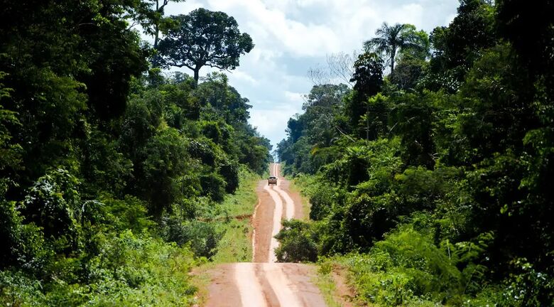 Amazônia: degradação afeta área três vezes maior que desmatamento - Crédito: Marcelo Camargo/Agência Brasil
