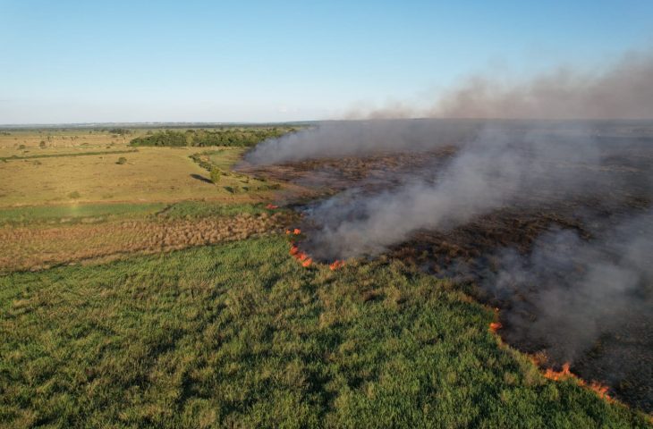 Bombeiros de MS atuam no combate a dois incêndios florestais, no Pantanal e em Naviraí - Crédito: CBMMS