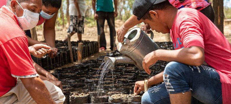 Pessoas cuidam de um viveiro de sementes em um projeto de resiliência do WFP em Honduras - Crédito:  WFP/Julian Frank