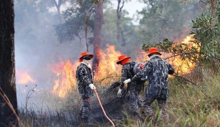 Sob coordenação dos bombeiros de MS, Força Nacional já atua no combate ao fogo  - Crédito: Saul Schramm