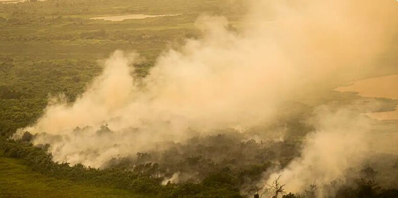 FAB faz três voos hoje sobre o Pantanal para combate às queimadas - Crédito: Joédson Alves/Agência Brasil