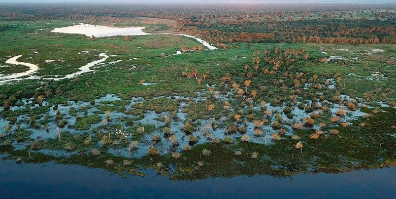o Pantanal, além da redução de chuvas e, consequentemente, da área alagada, o tempo de permanência da água tem se reduzido - Crédito:  Leandro de Almeida Luciano/Wikimedia Commons