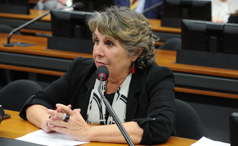 Erika Kokay foi quem pediu o debate  - Crédito: Renato Araújo/Câmara dos Deputados